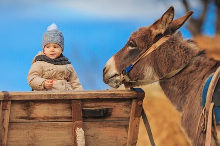 Little boy drives a donkey on a farm. A child with a burro in the village.の写真素材
