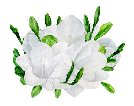 Watercolor wedding freesia bouquet vector clip art. White flowersのイラスト素材