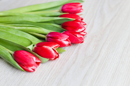 Red tulips are on the table 1の写真素材