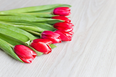 Red tulips are on the table 1の写真素材