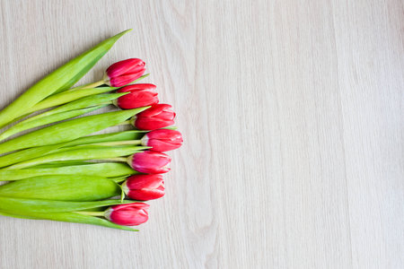 Red tulips are on the table 1の写真素材