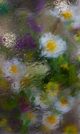 Bright flowers behind a wet glass or window in the rainの写真素材
