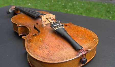 Violinの写真素材