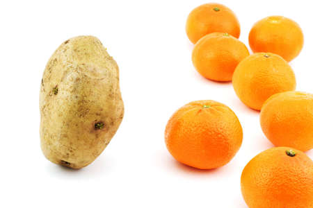 Isolated photo of confrontation between potato and mandarinsの写真素材
