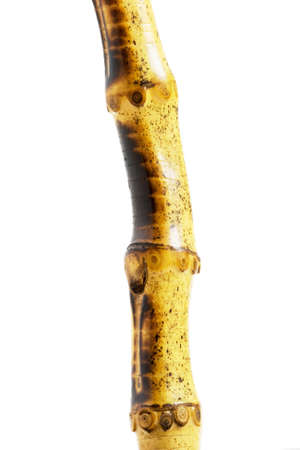 Ioslated photo of a varnished bamboo stick