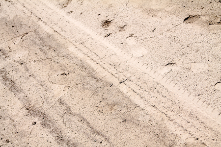 Auto tracks on the sandの写真素材