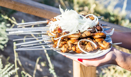 Meat on metal skewers skewers with onionsの写真素材