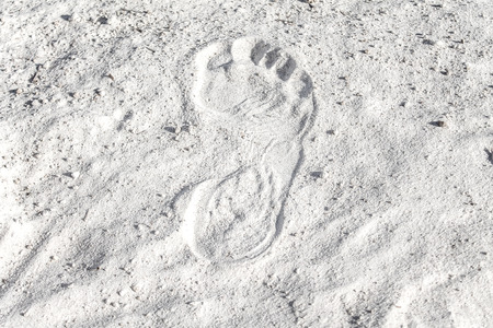 Foot print on White quartz sand as backgroundの写真素材
