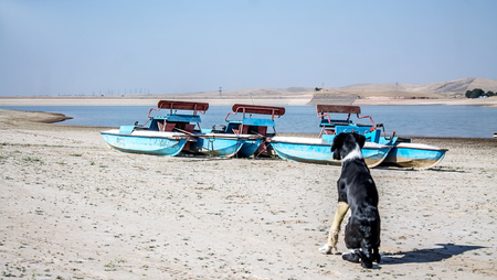 Old catamaran on the beachの写真素材
