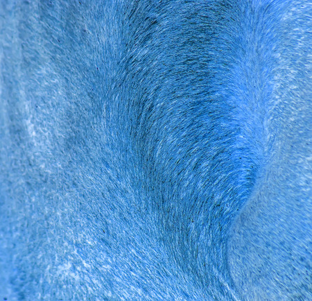 abstract animal wool background inversionの写真素材