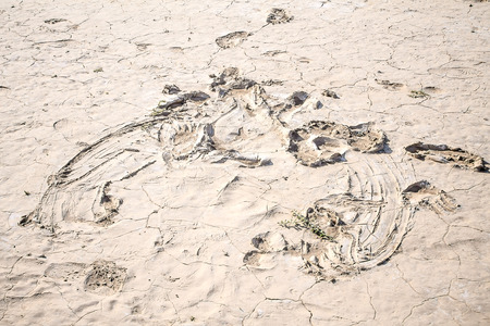 Abstract patterns in dried clayの写真素材