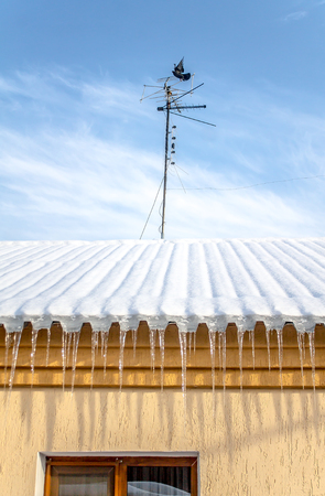 Icicles in winterの写真素材