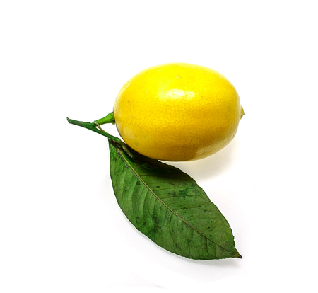 Lemon isolated on white backgroundの写真素材