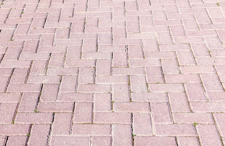 paving slab in the park