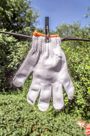 Gloves for construction worksの写真素材