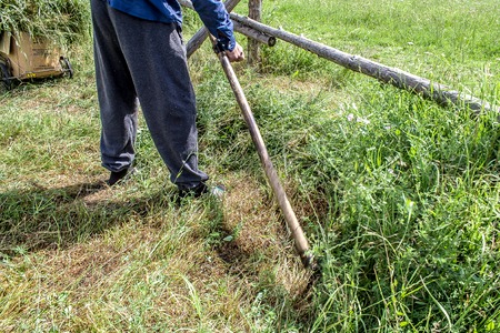 Harvesting herbs in manual