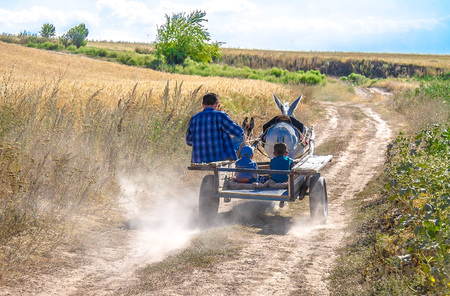 A cart with a donkey and people in itの写真素材