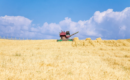 Old harvester on a wheat field