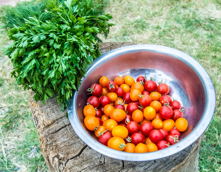 Cherry tomatoes in a basinの写真素材