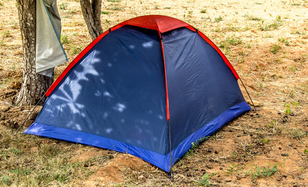 Tourist tents under the treesの写真素材