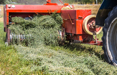 Hay collecting equipment on the fieldの写真素材