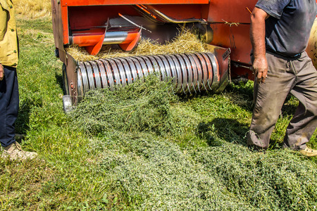Hay collecting equipment on the fieldの写真素材