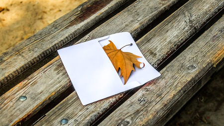 Autumn leaf in an envelope