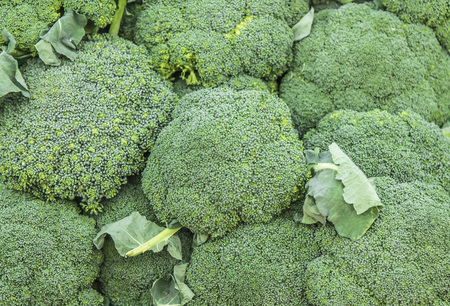Cauliflower on the counter on the market for saleの写真素材