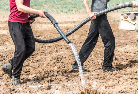 Watering the land with a large hose preparation for the game Kokparの写真素材
