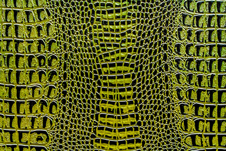 Artificial crocodile skin as backgroundの写真素材