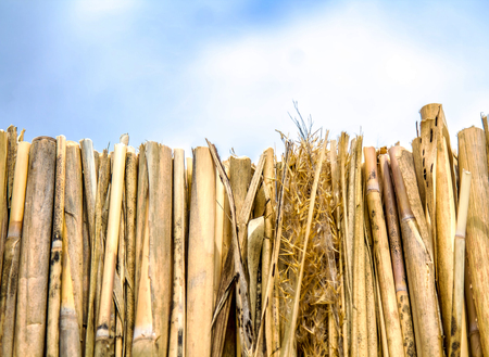 Mats of dry reeds as a background against the skyの写真素材