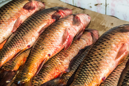 Fish carp in the market a lot