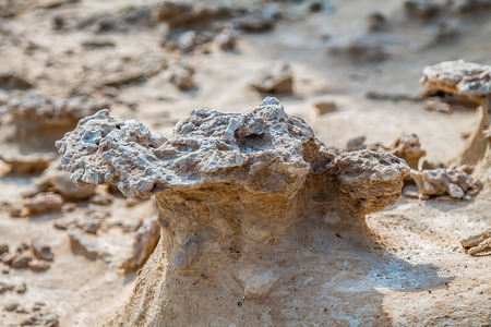 Rocky sea soil as a background