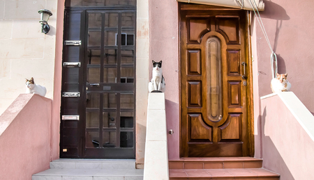 Homeless Cats sit while going to a house in Maltaの写真素材