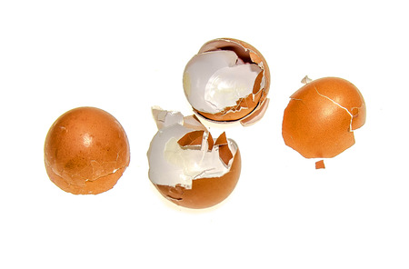 Egg shell isolated on white backgroundの写真素材