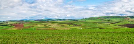 Fields with crops in spring against the background of mountains and clouds. A rural landscape in Kazakhstan.の写真素材