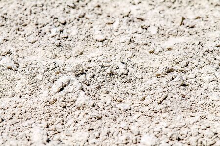 Ground cover on the hippodrome close up in springの写真素材