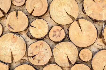 Wooden structure of an old stump as a background.の写真素材