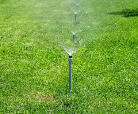 Green lawn in a city park wateringの写真素材