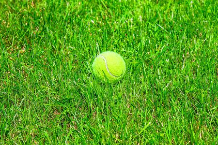 Tennis ball on the green grass of the court close-upの写真素材