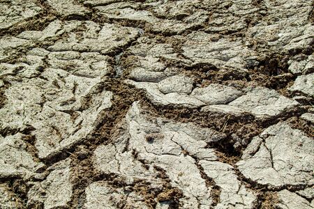 Dry manure as a background. The concept is a natural organic fertilizer.