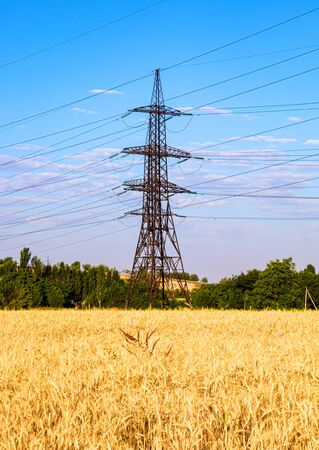 Metal pylons of high-voltage power lines against the skyの写真素材