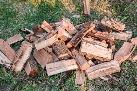 Chopped firewood on green grass close-upの写真素材