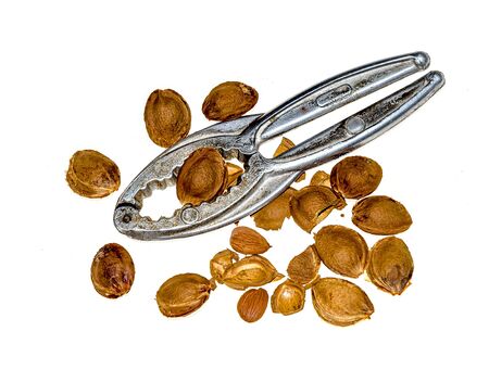 A device for chopping nuts on a white background
