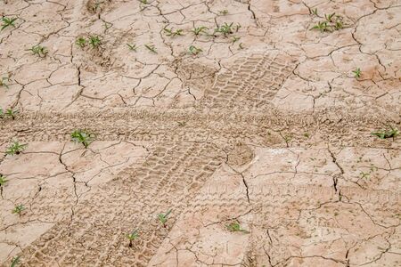 Tire tracks on dry cracked earth as background
