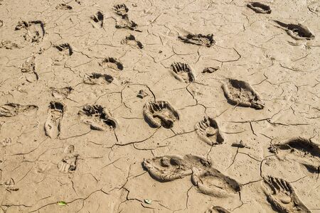 Traces of a man in the mud close-up