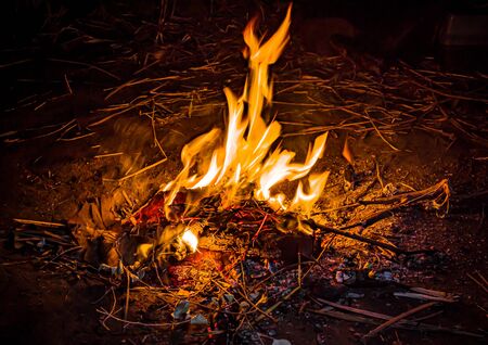 Fire in a bonfire at night outdoors close-up