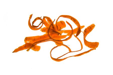 Peeling carrots on a white backgroundの写真素材