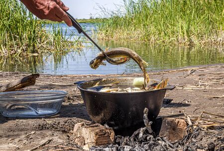 Cooking fish soup fish soup in the fire in natureの写真素材