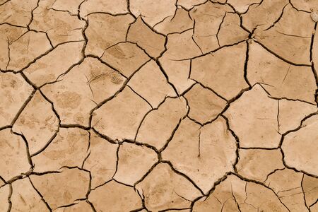 Dry cracked earth as a background close-up. Environmental disaster. Drought.の写真素材